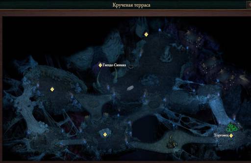 Pillars of Eternity - «Pillars of Eternity  II: Deadfire»: «Путь проклятых» (часть третья)